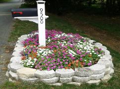Mailbox area after professional landscaping by Clean Cut