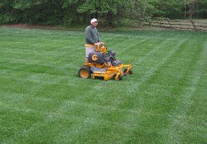 Landscape installation project in Fort Mill area